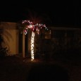 We walked into our house at Hyde Park Street on December 6th and all is well here. We don’t have quite the citrus crop we had last year, but we [&hellip;]