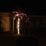 South FL Christmas Tree
