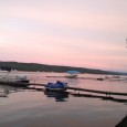 And what a great one it’s been! After our annual trip to Stratford with Scott and Janet over the 4th of July, we made the trek to Conesus Lake – [&hellip;]
